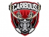 Caribous U13 Competitive Teams